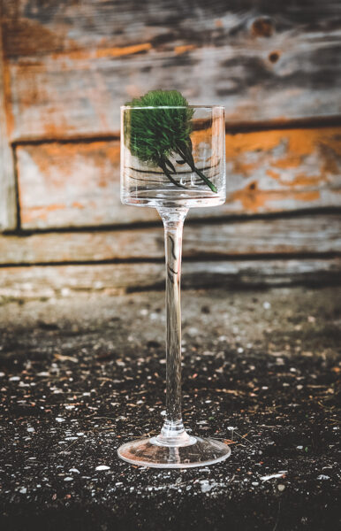 Stikla svečturi - vāzes uz kājas, zemie