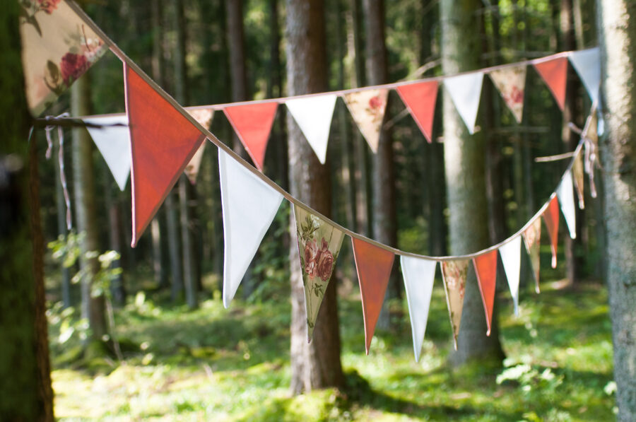 Karodziņu virtene "Vintage rozā", 10.8m